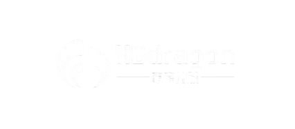 豪帝控股 HDdragon